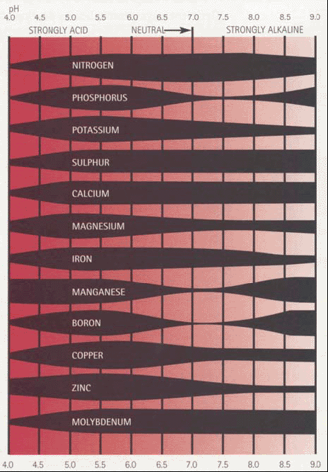 Soil pH