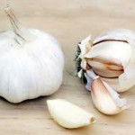 Many insects loath the smell of garlic