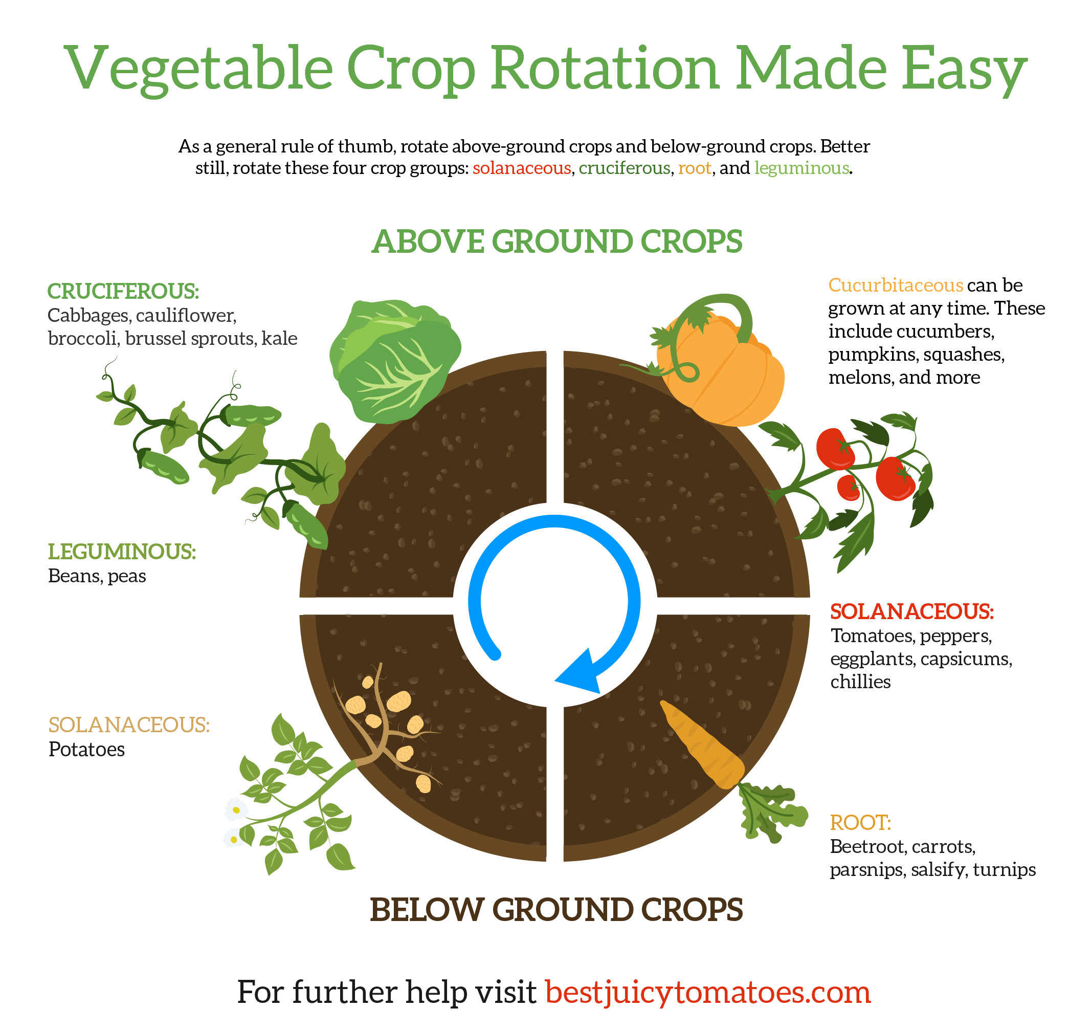 crop-rotation-infographic-02