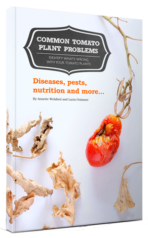 Free Guide to Common Tomato Problems | Best Juicy Tomatoes | How to ...